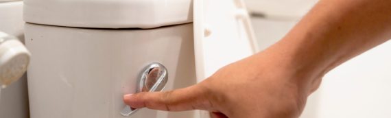 ▷3 Things You Should Not Flush Down The Toilet In Mira Mesa