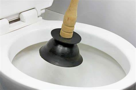 5 Things That Cause Toilet Clog In Mira Mesa