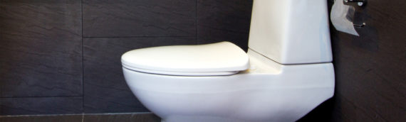 ▷5 Tips To Install Toilet At Your Place In Mira Mesa