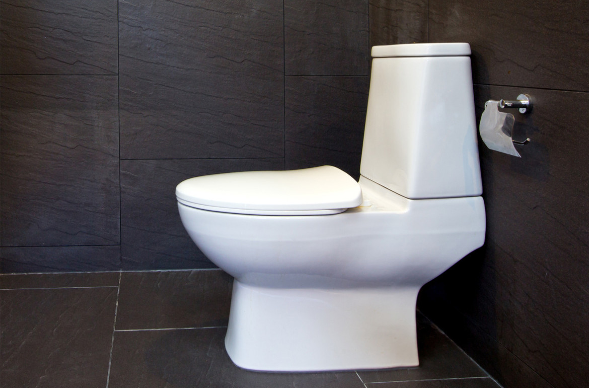 5 Tips To Install Toilet At Your Place In Mira Mesa