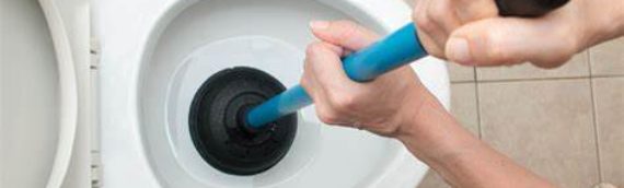 ▷5 Tips To Unclog Your Toilet In Mira Mesa