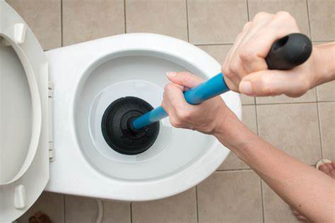 5 Tips To Unclog Your Toilet In Mira Mesa