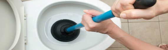 ▷5 Tips To Immediately Unclog Your Toilet In Mira Mesa