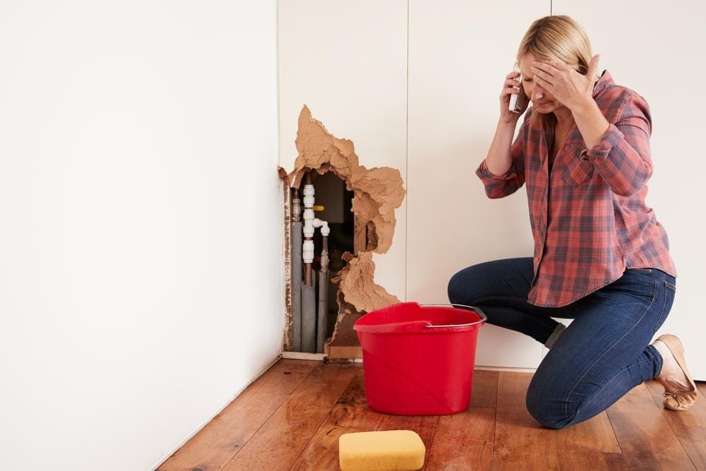 Why You Should Never Ignore a Plumbing Leak